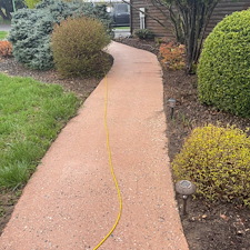 Concrete-Sidewalk-Cleaning-in-Stephens-City-VA-Safe-Spotless-Plant-Conscious-Results 0